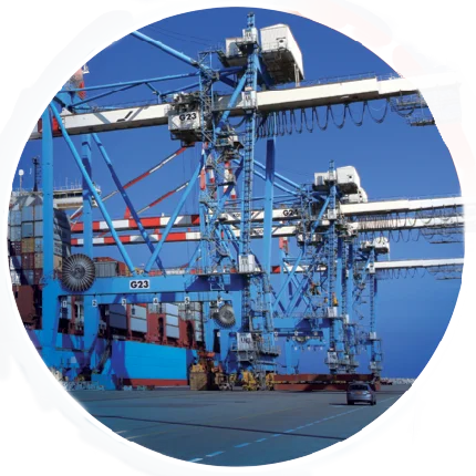 crane